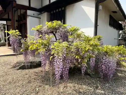 荘嚴浄土寺(大阪府)