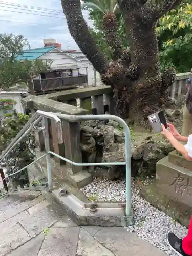 叶神社 (西叶神社)の狛犬