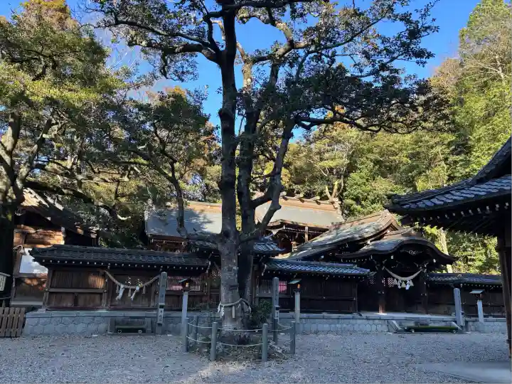 多賀神社(尾張多賀神社)(愛知県)