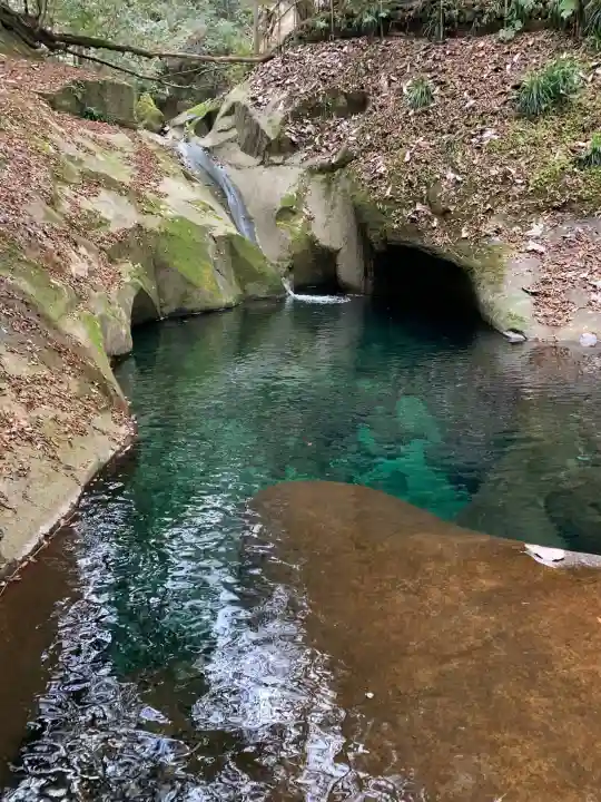 龍鎮神社の自然