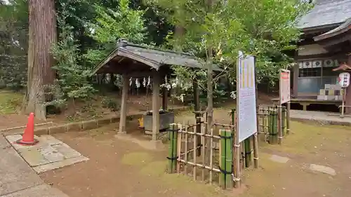 成田熊野神社の手水舎