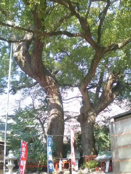 松原神社の自然