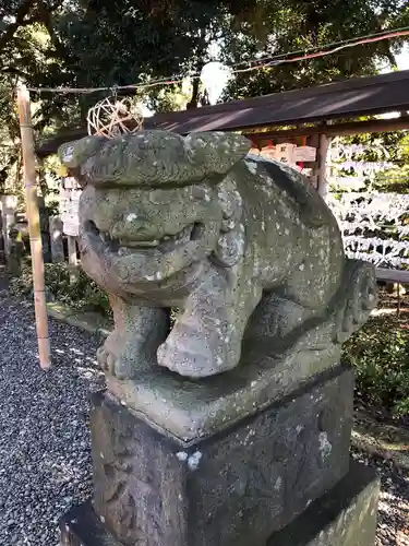 菊田神社の狛犬