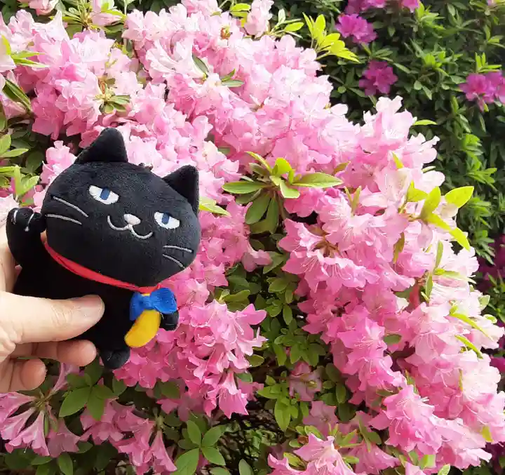根津神社(東京都)