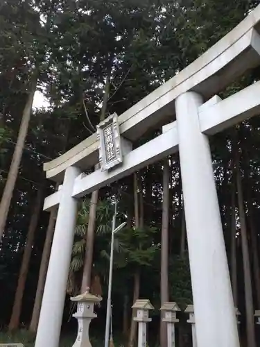 瀧樹神社の鳥居