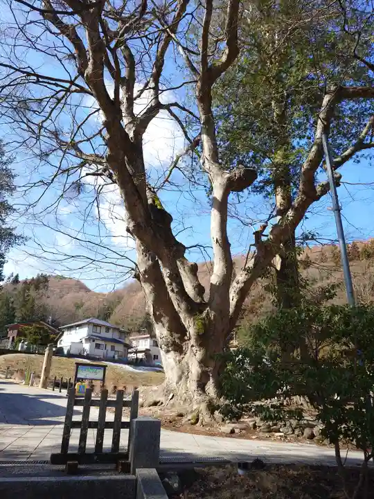 諏訪大社上社前宮(長野県)