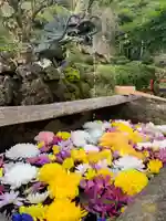曹洞宗 永松山 龍泉寺の手水舎