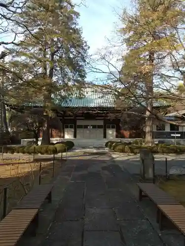 道場寺の本殿・本堂