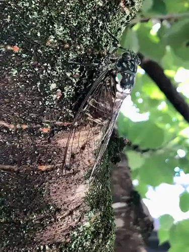 秩父札所十三番 慈眼寺(埼玉県)