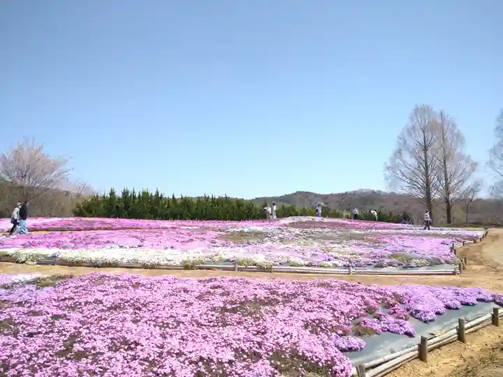 巳徳神社の周辺
