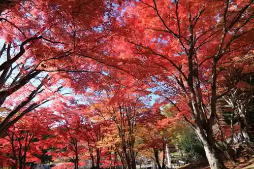 土津神社｜こどもと出世の神さまの庭園