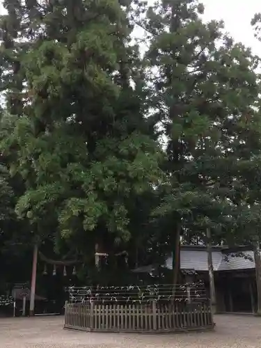 大神神社の自然