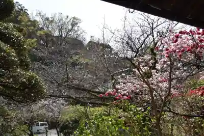 清雲寺の{uncategorized: "未分類", other: "その他", undefined: "問題あり", building: "その他建物", grave: "お墓", sacred_gate: "鳥居", guardian: "狛犬", statue: "像", buddha: "仏像", history: "歴史", nature: "自然", garden: "庭園", animal: "動物", pagoda: "塔", temizu: "手水舎", mountain_gate: "山門・神門", sanctuary: "本殿・本堂", subordinate: "末社・摂社", art: "芸術", scenery: "景色", jizo: "地蔵", ema: "絵馬", goshuin: "御朱印", omikuji: "おみくじ", items: "授与品その他", amulet: "お守り", goshuincho: "御朱印帳", eats: "食事", festival: "お祭り", votive_dance: "神楽", shichigosan: "七五三参", wedding: "結婚式", experience: "体験その他", initially: "初詣", around: "周辺", anti_infection: "感染症対策"}