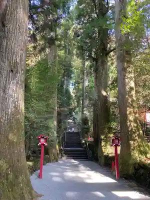 箱根神社(神奈川県)