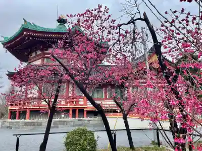 寛永寺不忍池弁天堂の{uncategorized: "未分類", other: "その他", undefined: "問題あり", building: "その他建物", grave: "お墓", sacred_gate: "鳥居", guardian: "狛犬", statue: "像", buddha: "仏像", history: "歴史", nature: "自然", garden: "庭園", animal: "動物", pagoda: "塔", temizu: "手水舎", mountain_gate: "山門・神門", sanctuary: "本殿・本堂", subordinate: "末社・摂社", art: "芸術", scenery: "景色", jizo: "地蔵", ema: "絵馬", goshuin: "御朱印", omikuji: "おみくじ", items: "授与品その他", amulet: "お守り", goshuincho: "御朱印帳", eats: "食事", festival: "お祭り", votive_dance: "神楽", shichigosan: "七五三参", wedding: "結婚式", experience: "体験その他", initially: "初詣", around: "周辺", anti_infection: "感染症対策"}