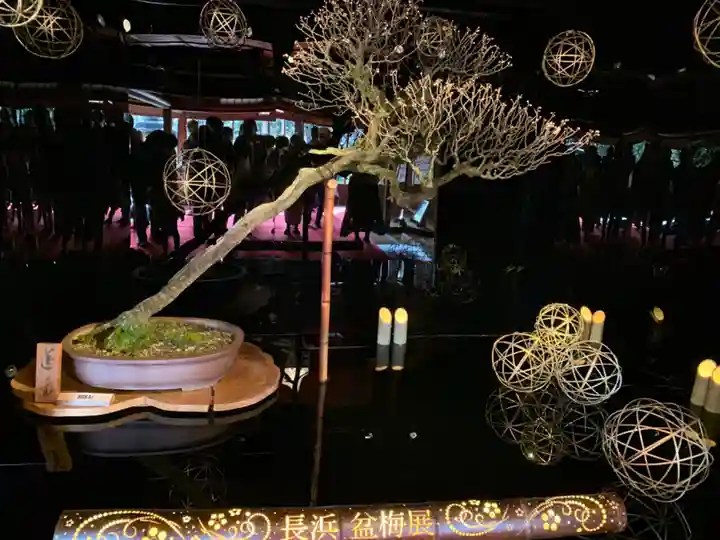 神社(慶雲館)(滋賀県)