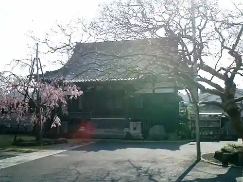 本興寺の本殿・本堂