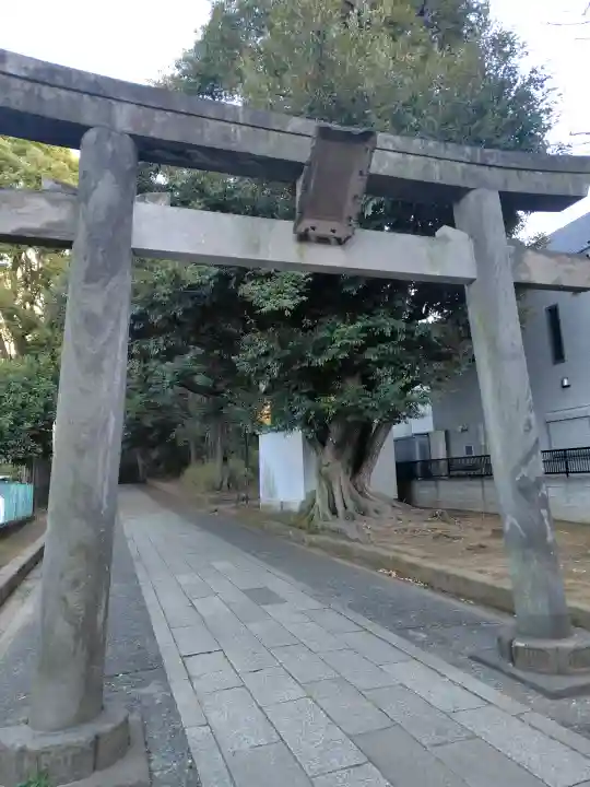 渋谷氷川神社の{uncategorized: "未分類", other: "その他", undefined: "問題あり", building: "その他建物", grave: "お墓", sacred_gate: "鳥居", guardian: "狛犬", statue: "像", buddha: "仏像", history: "歴史", nature: "自然", garden: "庭園", animal: "動物", pagoda: "塔", temizu: "手水舎", mountain_gate: "山門・神門", sanctuary: "本殿・本堂", subordinate: "末社・摂社", art: "芸術", scenery: "景色", jizo: "地蔵", ema: "絵馬", goshuin: "御朱印", omikuji: "おみくじ", items: "授与品その他", amulet: "お守り", goshuincho: "御朱印帳", eats: "食事", festival: "お祭り", votive_dance: "神楽", shichigosan: "七五三参", wedding: "結婚式", experience: "体験その他", initially: "初詣", around: "周辺", anti_infection: "感染症対策"}