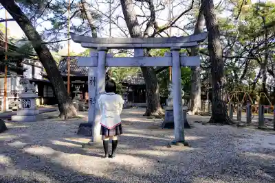 和泉八劔神社の鳥居