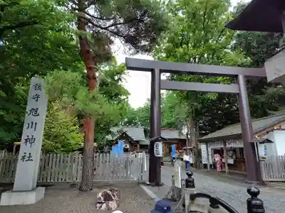 旭川神社の鳥居