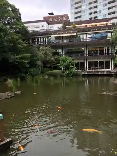 東郷神社の庭園