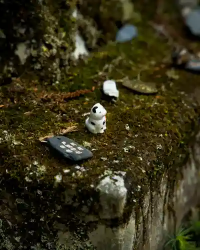 戸隠神社中社(長野県)