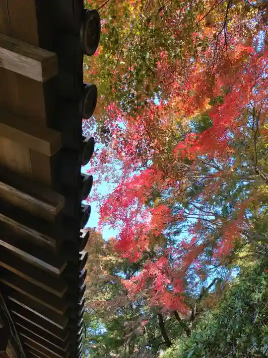 吉備津神社(岡山県)