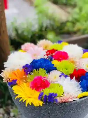 埼玉厄除け開運大師・龍泉寺（切り絵御朱印発祥の寺）(埼玉県)