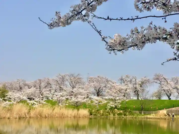 蛇池神社の自然