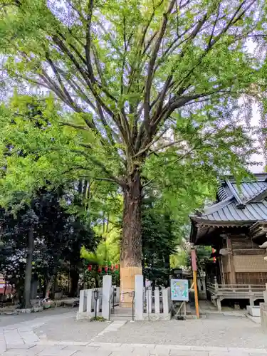 田無神社(東京都)