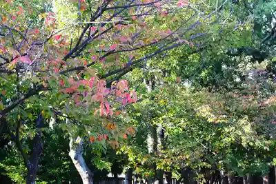 三津厳島神社(愛媛県)