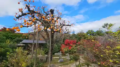 実光院(京都府)