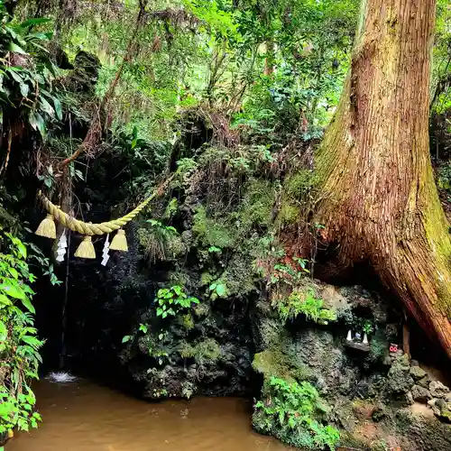 目の霊山　油山寺(静岡県)