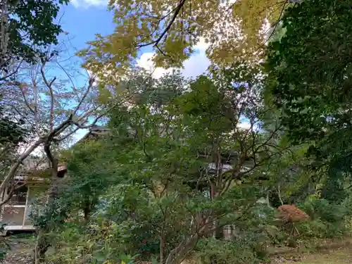 龍田寺のその他建物