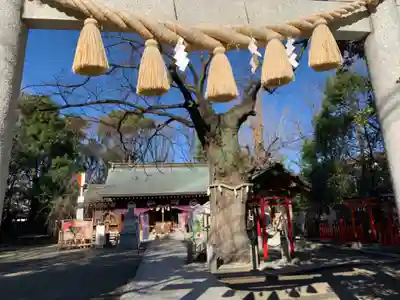 新田神社のその他建物