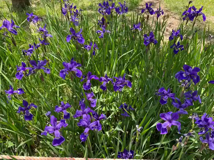 春日大社(奈良県)