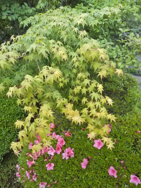 酬恩庵一休寺(京都府)