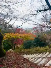 園城寺（三井寺）(滋賀県)