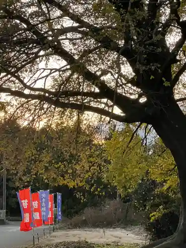 伏木香取神社(茨城県)