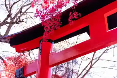 宇治上神社(京都府)