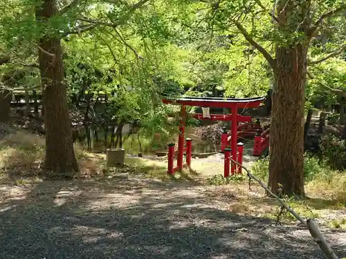 柏山稲荷神社の鳥居