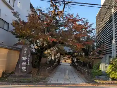 新井薬師(梅照院)(東京都)