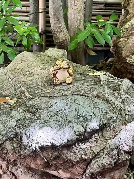 二宮稲荷神社の{uncategorized: "未分類", other: "その他", undefined: "問題あり", building: "その他建物", grave: "お墓", sacred_gate: "鳥居", guardian: "狛犬", statue: "像", buddha: "仏像", history: "歴史", nature: "自然", garden: "庭園", animal: "動物", pagoda: "塔", temizu: "手水舎", mountain_gate: "山門・神門", sanctuary: "本殿・本堂", subordinate: "末社・摂社", art: "芸術", scenery: "景色", jizo: "地蔵", ema: "絵馬", goshuin: "御朱印", omikuji: "おみくじ", items: "授与品その他", amulet: "お守り", goshuincho: "御朱印帳", eats: "食事", festival: "お祭り", votive_dance: "神楽", shichigosan: "七五三参", wedding: "結婚式", experience: "体験その他", initially: "初詣", around: "周辺", anti_infection: "感染症対策"}