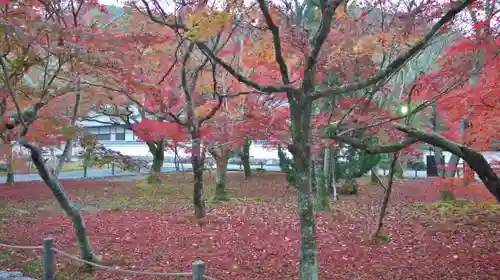 南禅寺の庭園