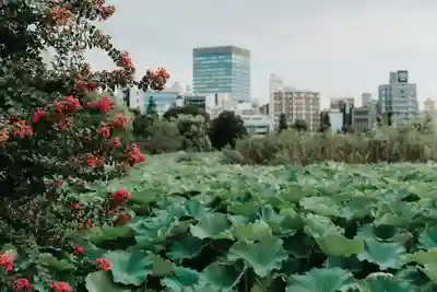 不忍池大黒天堂(東京都)