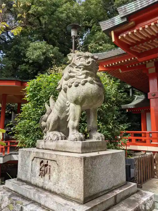 自由が丘熊野神社の狛犬