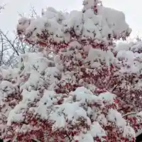 彌彦神社 (伊夜日子神社)(北海道)