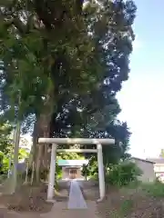 香取神社の鳥居