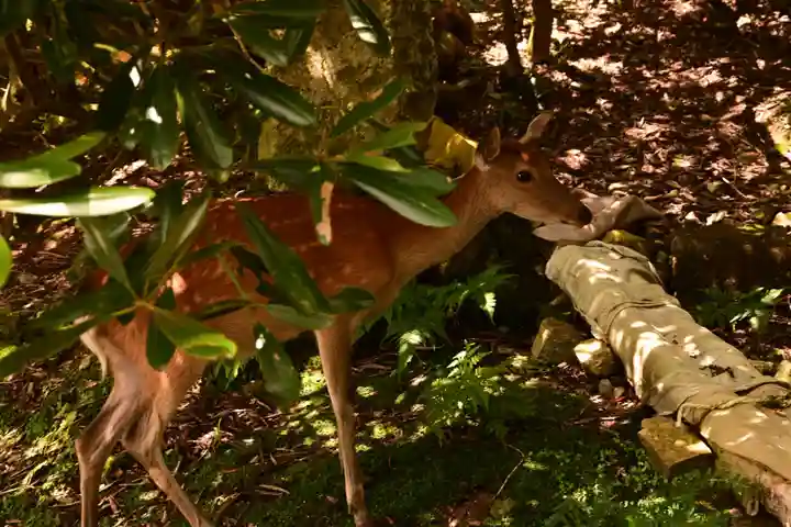 月輪寺(京都府)