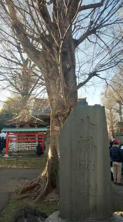 滝野川八幡神社のその他建物